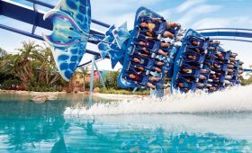 SeaWorld Orlando, Destinasi Menarik untuk Keluarga dan Pecinta Satwa